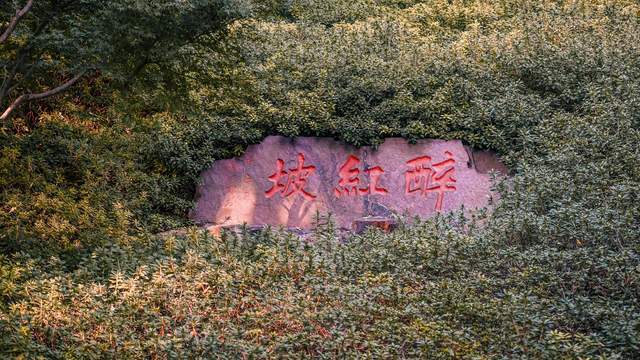 原创 无锡惠山古镇的中国杜鹃园,是以杜鹃花为主题的花园,造型独特4