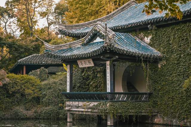 原创 无锡惠山古镇的中国杜鹃园,是以杜鹃花为主题的花园,造型独特6