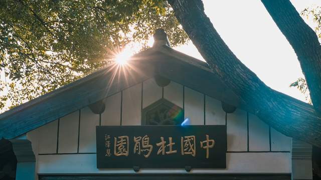 原创 无锡惠山古镇的中国杜鹃园,是以杜鹃花为主题的花园,造型独特7