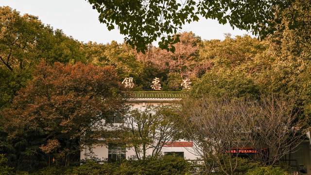 原创 无锡惠山古镇的中国杜鹃园,是以杜鹃花为主题的花园,造型独特8