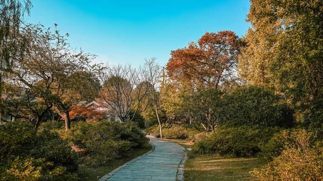 原创 无锡惠山古镇的中国杜鹃园,是以杜鹃花为主题的花园,造型独特10