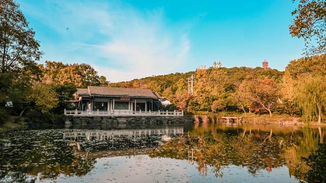 原创 无锡惠山古镇的中国杜鹃园,是以杜鹃花为主题的花园,造型独特13
