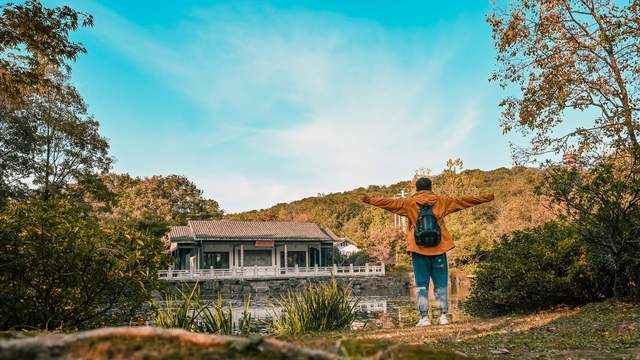 原创 无锡惠山古镇的中国杜鹃园,是以杜鹃花为主题的花园,造型独特14