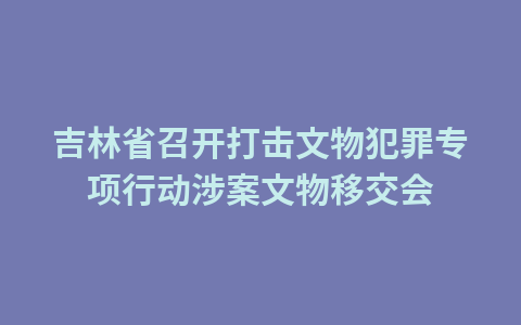 吉林省召开打击文物犯罪专项行动涉案文物移交会1