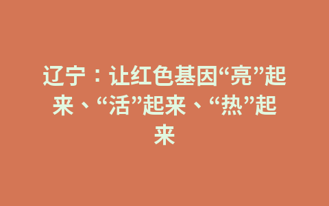辽宁:让红色基因“亮”起来、“活”起来、“热”起来1