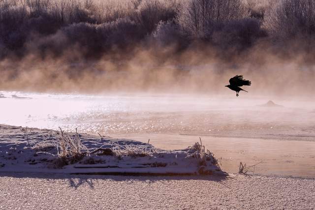 原创 错过冬天的呼伦贝尔,就会错过最为绝美的风景,错过就是遗憾4