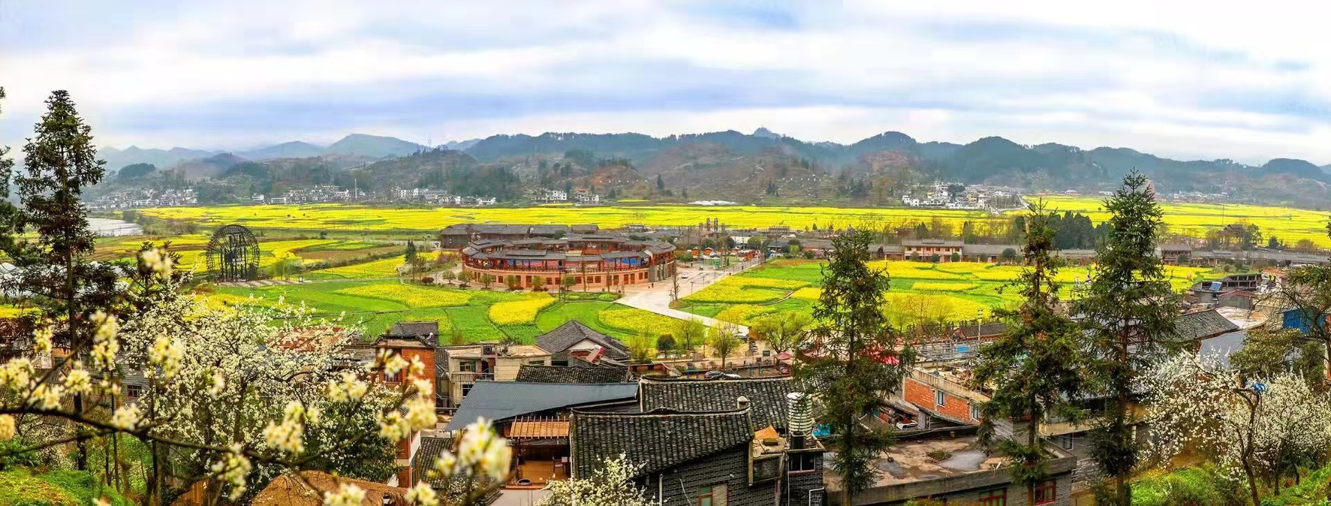 贵州贵定万亩油菜花集中盛开1