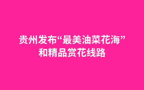 贵州发布“最美油菜花海”和精品赏花线路1