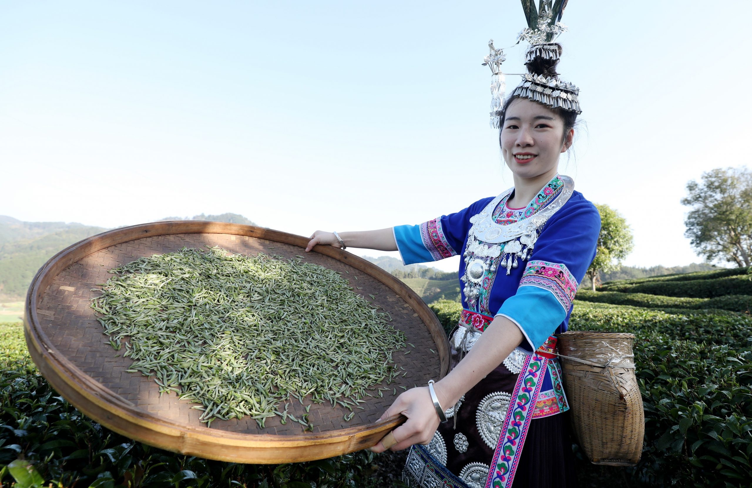 广西:旅游发展有活力 乡村振兴添动力2