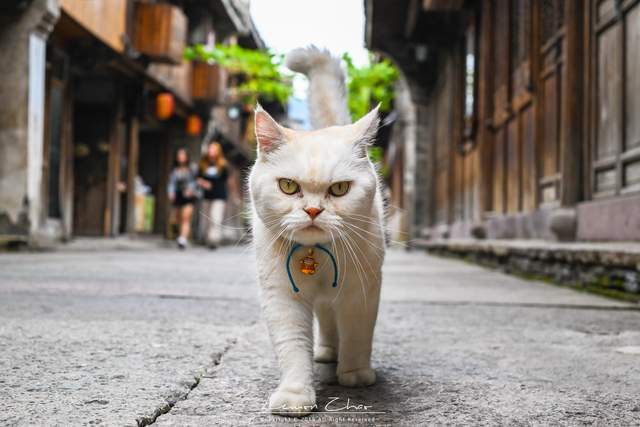 原创 老天爷都可以赏饭吃的地方，还被称之为海上仙子国，还能品尝美食3