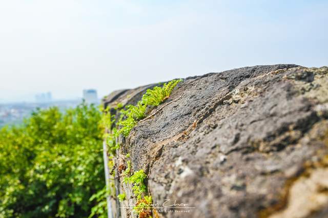 原创 老天爷都可以赏饭吃的地方，还被称之为海上仙子国，还能品尝美食5