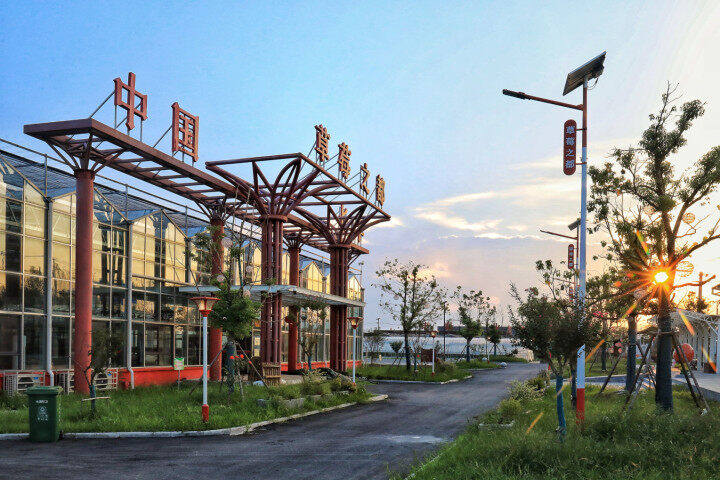 安徽长丰:“草莓之都”农旅融合结硕果1