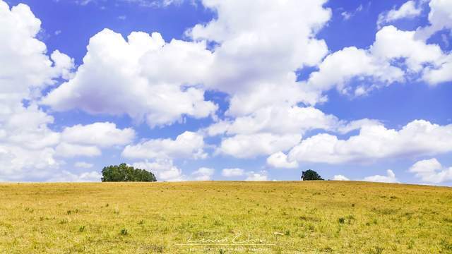 内蒙古的一个地级市,与承德毗邻,拥有十万公顷的自然保护区2