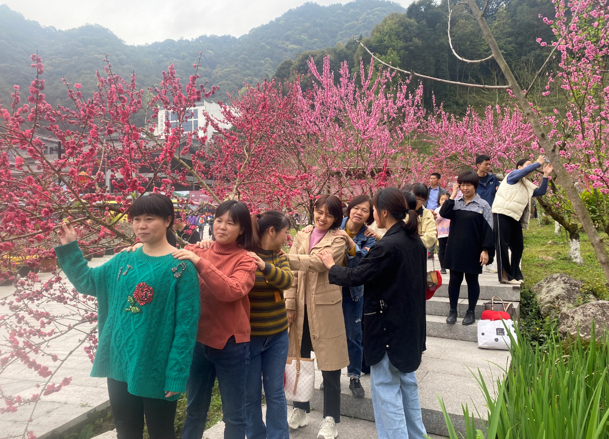 福建永春举办第十一届桃花文化旅游节4