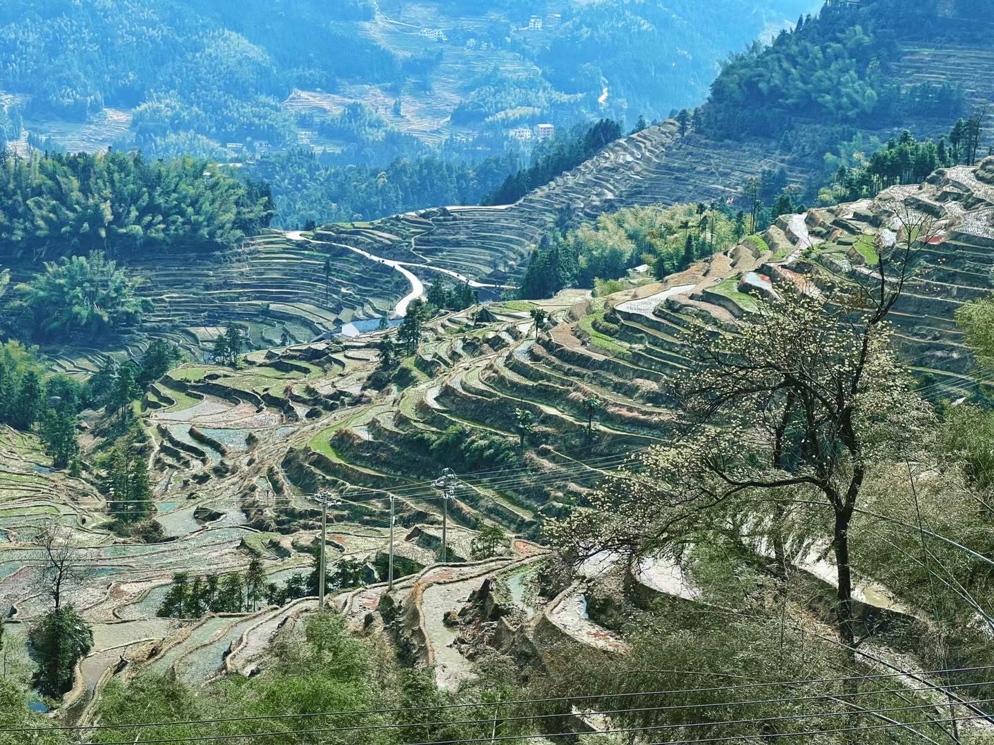 文旅助力,让紫鹊界梯田留住“世界远古乡愁”1