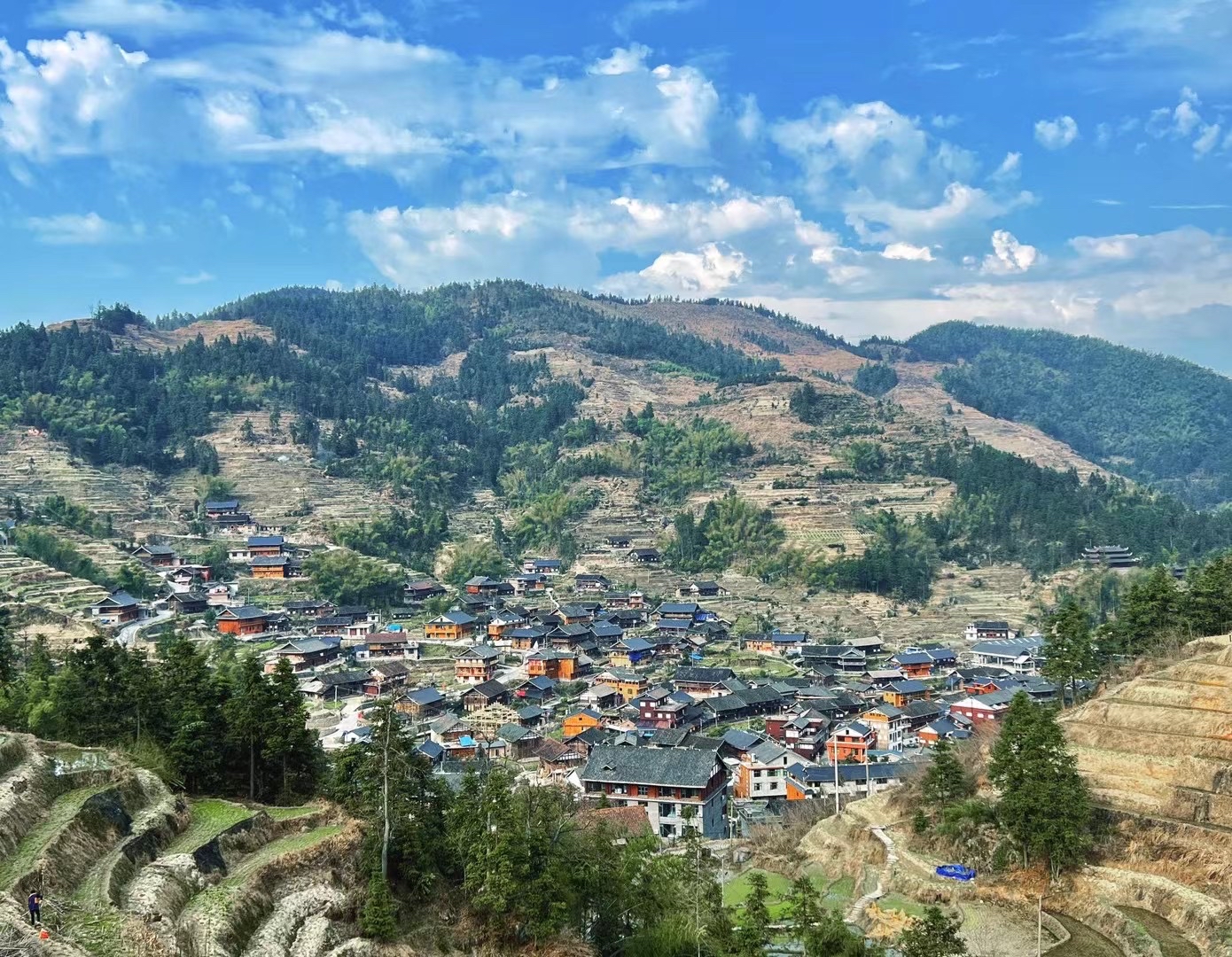 文旅助力,让紫鹊界梯田留住“世界远古乡愁”2