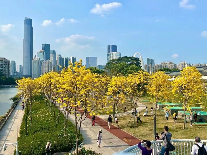 以花为媒 广州推出春季系列文旅推广活动1