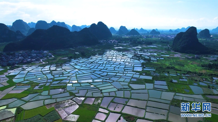 春风又到“玻璃田” 水田如镜景如画1