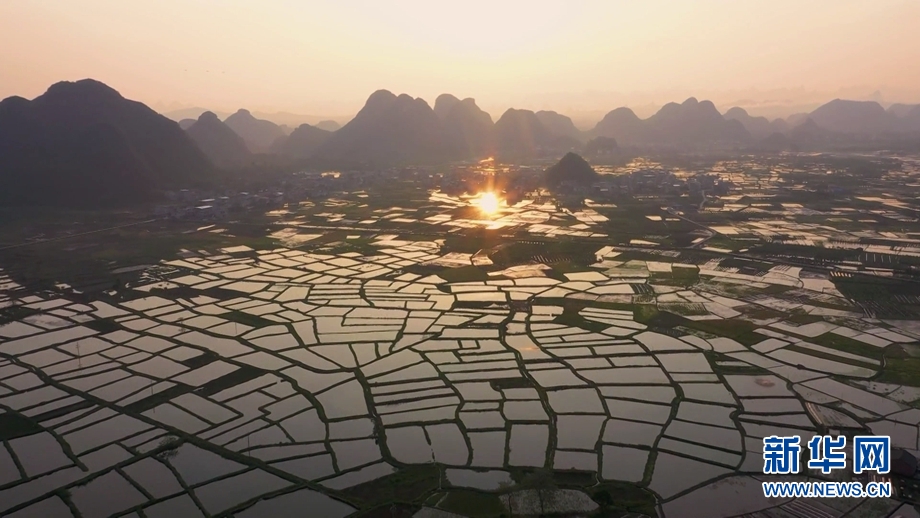 春风又到“玻璃田” 水田如镜景如画4