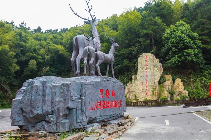 长沙黑麋峰国家森林公园能开车上去吗?1