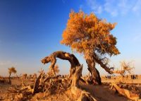 内蒙古旅游景点（十大必玩的景点推荐）6