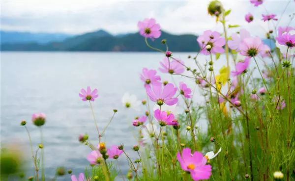 8月、9月去哪旅游最合适 国内旅游景点推荐8