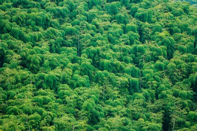 8月、9月去哪旅游最合适 国内旅游景点推荐17