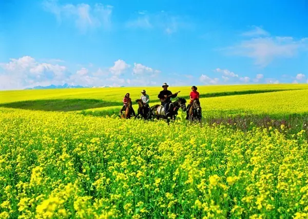 8月、9月去哪旅游最合适 国内旅游景点推荐21