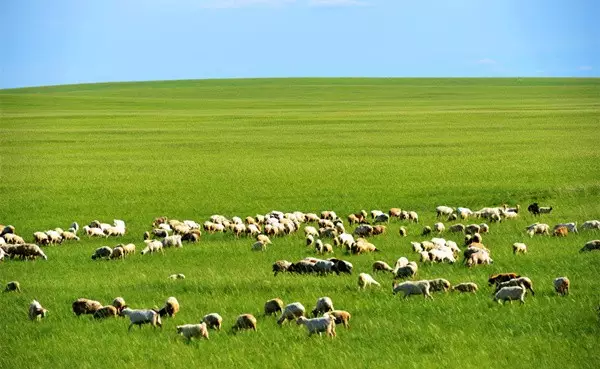 8月、9月去哪旅游最合适 国内旅游景点推荐24