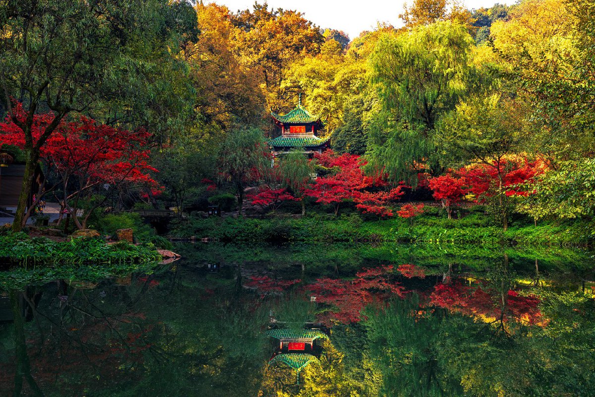 岳麓山枫叶最佳观赏位置和拍摄技巧攻略1