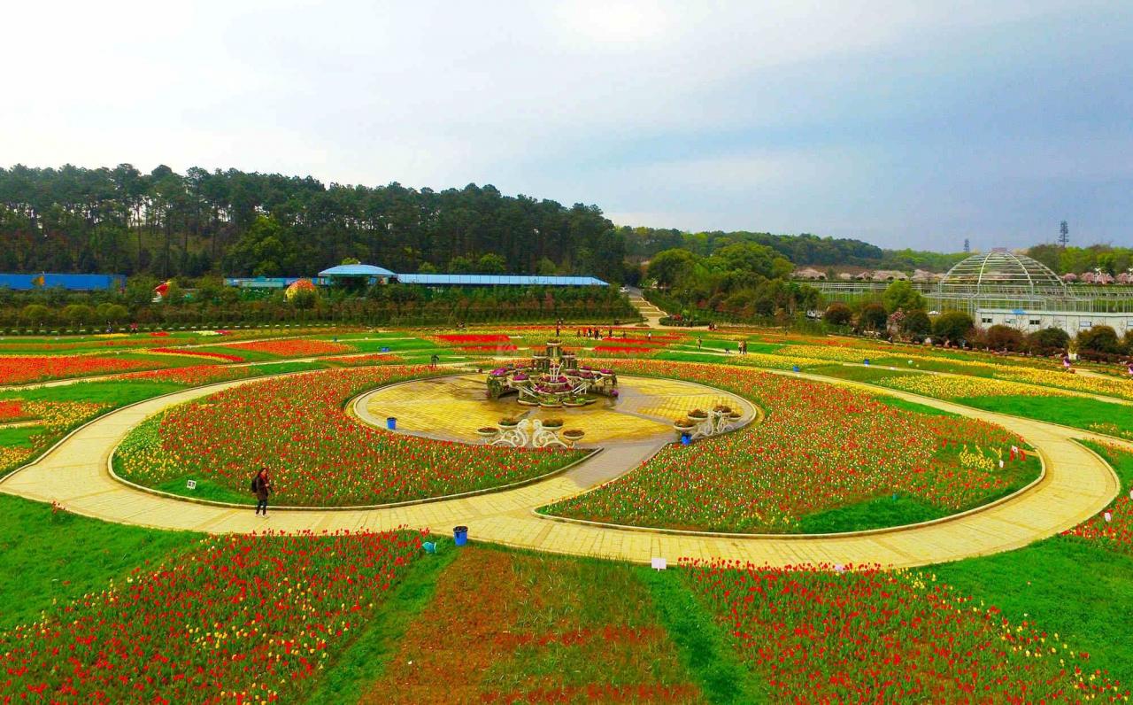 湖南省植物园早上预约的下午可以去吗？1