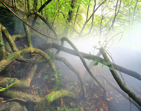 什么季节到湘西自驾游最好3