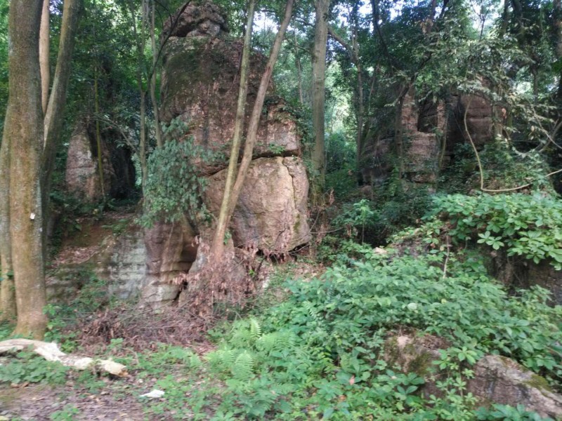 回忆儿时不二门公园4