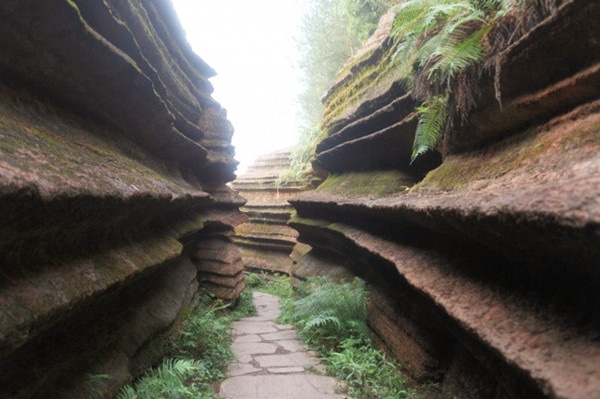 湘西红石林景区旅游攻略5
