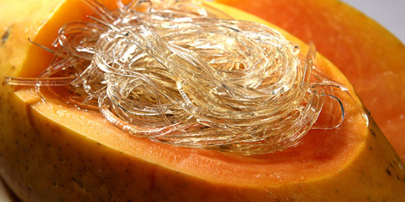 北京金泰燕翅鲍1