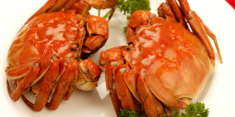 北京马娘酿饭庄(朝内店)1