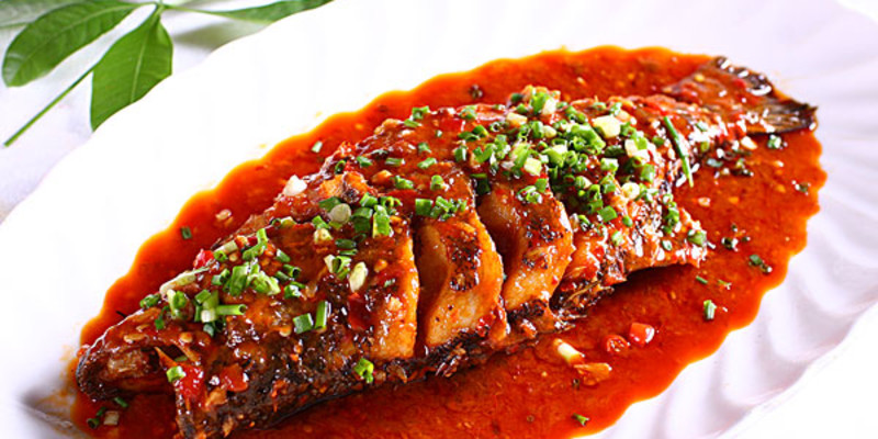 成都川大食堂怎么样？好吃吗1