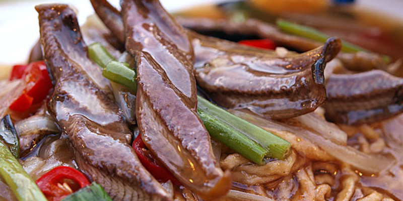 成都河边街鳝鱼火锅(玉林南店)怎么样？好吃吗1