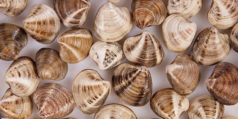 成都海上皇酒楼怎么样？好吃吗1