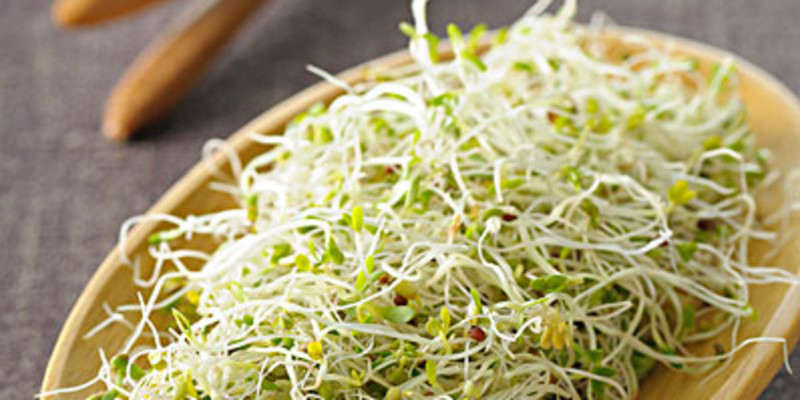 成都鹅头兔巴哥怎么样？好吃吗1