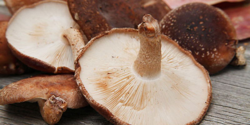 成都达州酸辣风味馆怎么样？好吃吗1