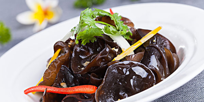 成都乐山杨烧烤怎么样？好吃吗1