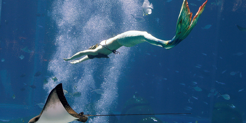 三亚亚特兰蒂斯·奥西亚诺海底餐厅1