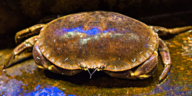 三亚红太阳湘菜馆1