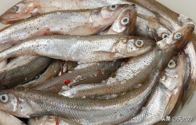 油炸小鱼怎样做最好吃（炸小鱼的技术要点步骤）4