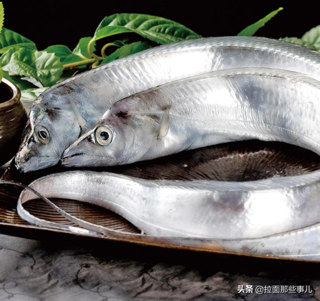 什么食物含有脂肪酸较多(分享7种鱼最适合吃)5