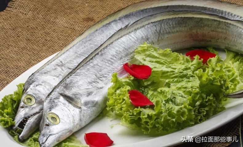 什么食物含有脂肪酸较多（分享7种鱼最适合吃）8