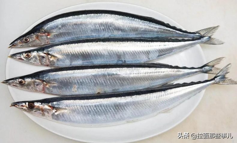 什么食物含有脂肪酸较多（分享7种鱼最适合吃）10