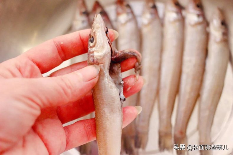 什么食物含有脂肪酸较多(分享7种鱼最适合吃)19