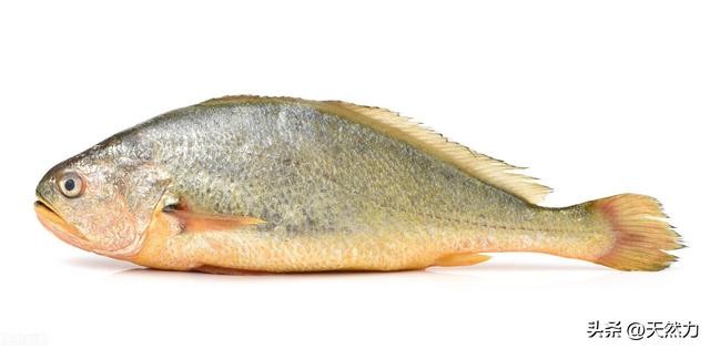 鲁菜中的赛螃蟹的做法你知道吗？赛螃蟹的烹饪方法6